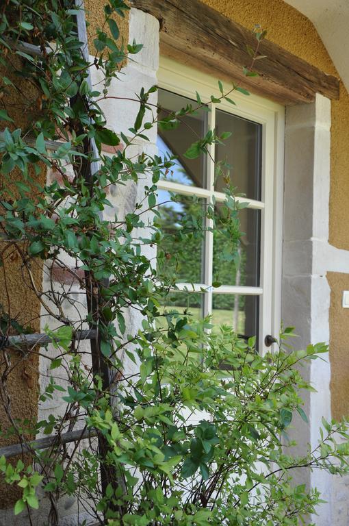 B&B La Cerisaie Francheleins Ruang foto