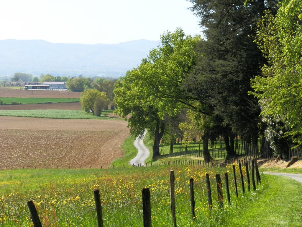 B&B La Cerisaie Francheleins Bagian luar foto